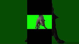 Part 3 Green Screen Wolf Chromaculture