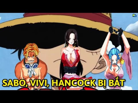 Hành động của Luffy khi Sabo, Vivi và Hancock gặp nạn || Giả Thuyết || Truyện Tổng Hợp