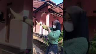 Okterbaru Pargoy Cwek Jilbabshort Video Ok