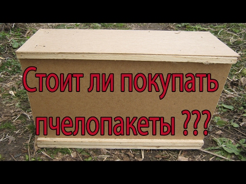 Куплю пчелопакеты 2018 в краснодарском крае Куплю пчелопакеты 2018 в краснодарском крае
