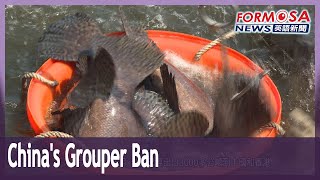 Chinas Ban On Taiwanese Grouper Takes Effect