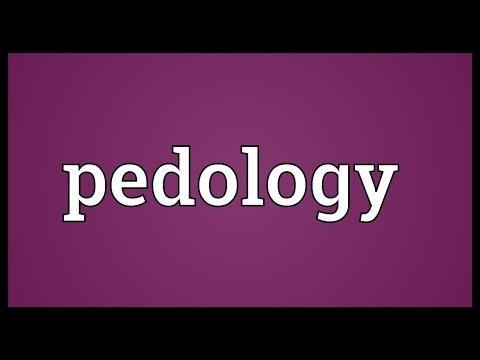 Header of pedology