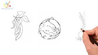 Drawing Vegetable - Beans - Cabbage - Onion | Drawing Cool TV