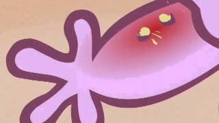 Happy tree friends deutsch