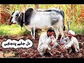 Kehri ghalti hoye hai zalim by Mansoor Malangi (New) Song