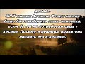 Тихое время с Живой Жизнью: Деяния 26:24–32 (14082018) Тихое время с Живой Жизнью: Деяния 26:24–32 (14082018)