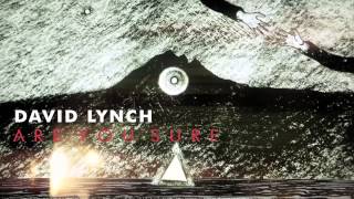 Watch David Lynch Are You Sure video