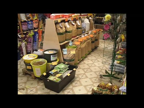 Корм для уток своими руками состав Корм для уток своими руками состав