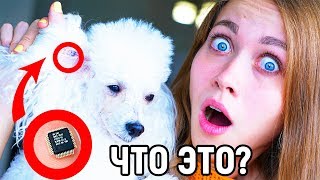 ??? ??? ???????!? ??? - 13 ?????