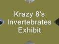 LA Bug Fair '07 - Krazy 8's Invertebrates