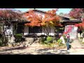 (4K)大阪・西江寺 Saiko-ji - 紅葉巡り2015 日本旅遊