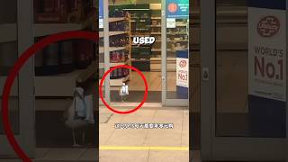 This Seagull Stole Food Every Day, But The Shop Owners Kindness Changed Everything