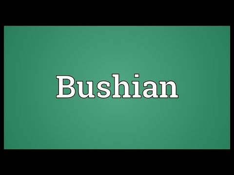 Header of Bushian