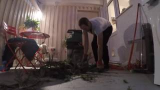Christmas Tree Shredding