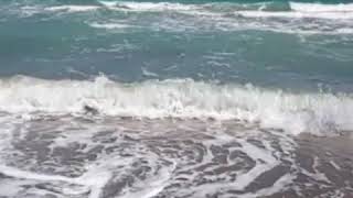 Deniz De Dalga Sesleri