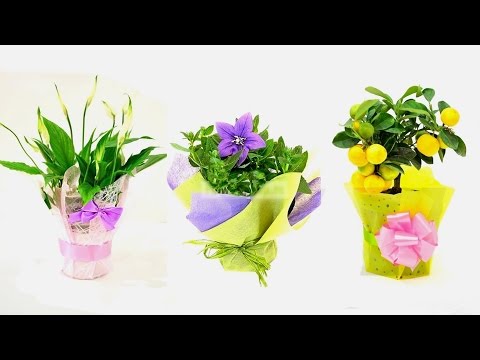 Как упаковать букет в сетку мастер класс Как упаковать букет в сетку мастер класс
