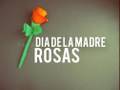 Rosas de papel Crepé // día de la madre