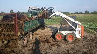 Видео Bobcat 543 załadunek obornika от Rolnik277, Оборники, Польша