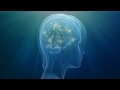Ego