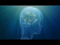 Ego