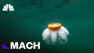 A Squishy Robot That Can Help Study Underwater Reefs Mach Nbc News
