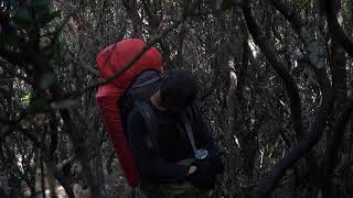 Mount Gede, Indonesia