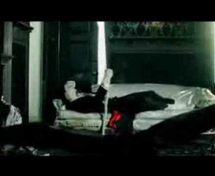 the white stripes blue orchid