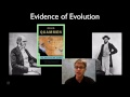 Evidence of Evolution: