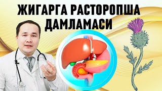 Жигарга Табиий Расторопша Дамламаси Шифо Фойдалари Ва Қўллаш Қоидаси Хақида