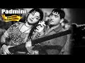Padmini Hits | Bollywood Classics | Popular Bollywood Songs [HD] | Hit Hindi Songs