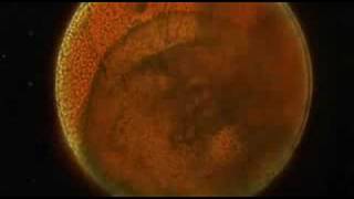 Altered States 1980 - Movie Scene