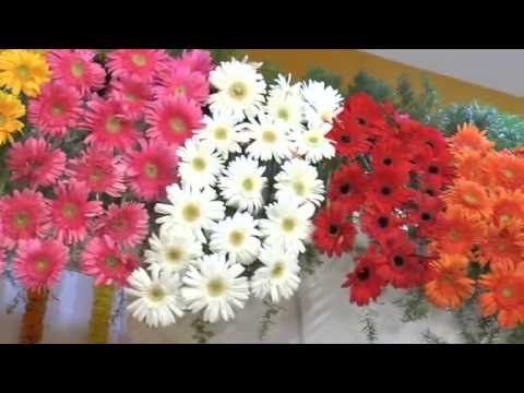 Marriage Stage Decoration Youtube