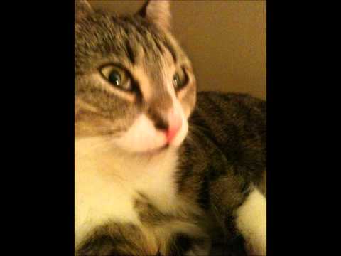 don't fall asleep Video