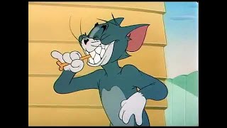 ᴴᴰ Tom And Jerry, Episode 53 - The Framed Cat 1950 - P13 Tajc Duge Mite