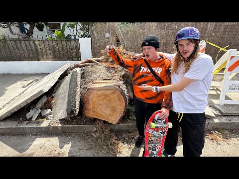 Andy Anderson & Christopher Hiett Skate Tree ??? @NkaVidsSkateboarding