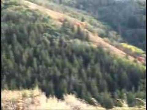 Ronaldo Yard Free Kick on Elk Hunting Long Range Shot At 830 On A Hillside Www Thompsonlongrange