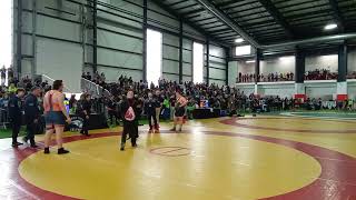 2024 Ofsaa Wrestling - Tablet 2