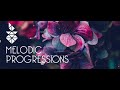 Melodic Progressions Show 308 (With Absorb Projects) 10.06.2022