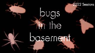 Bugs In The Basement- Carpophilus Lugubris aka The Dusky Sap Beetle