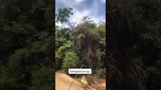 Matando A Saudade De Uma Família Muito Querida Em Sarzedo ,Que Delícia De Lugar