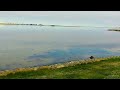Ostsee Insel Fehmarn Blick über den Burger See zum Yachthafen Burgtiefe hin