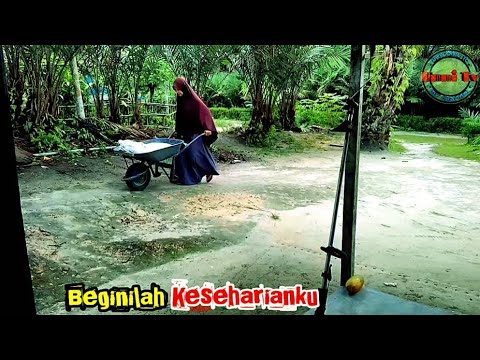 Aktivitas hari ini mengisi polibek di kebun salak | di lanjutkan membuat Asinan