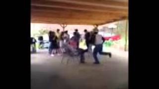 Watch Ohbijou Raccoons video