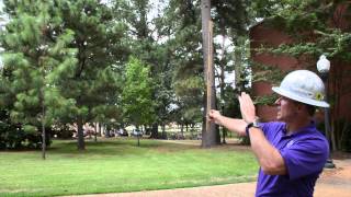 How To Measure The Height Of A Tree