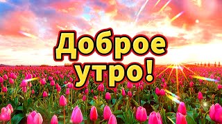 Доброе Утро! Дорожите Каждым Новым Днём, Дорожите Каждою Минутой! Радуйтесь, Опять Настало Утро💖🌺🌺🌺