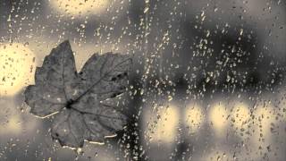 Watch Stone Coyotes Church Of The Falling Rain video