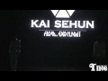 [FANCAM] 120401 - EXO Showcase Run & Gun (Kai & Sehun)