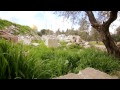 4th Annual International Temple Mount Awareness Day, Part 3: On The Temple Mount