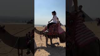 Watch Full Vlog In Pin Vedio