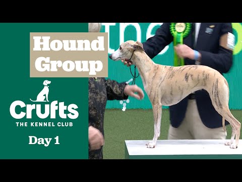 Hound Group Judging | Crufts 2025